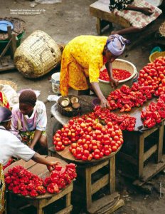small businesses in africa
