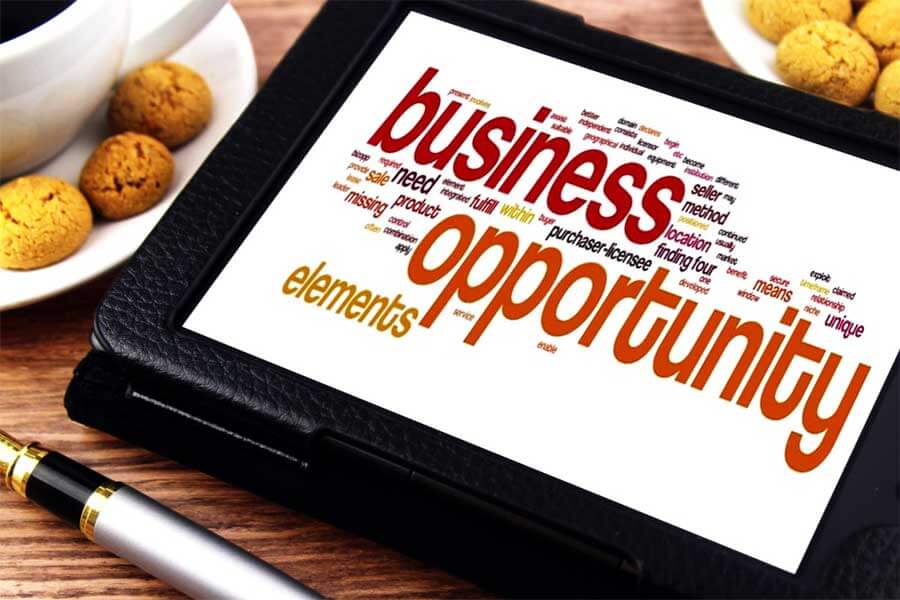 Do You Know How to Spot the Best Business Opportunities?