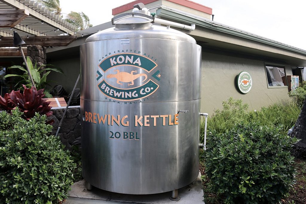 How to Choose the Right Brew Kettles on the Market