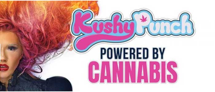 Kushy Punch Edible Product