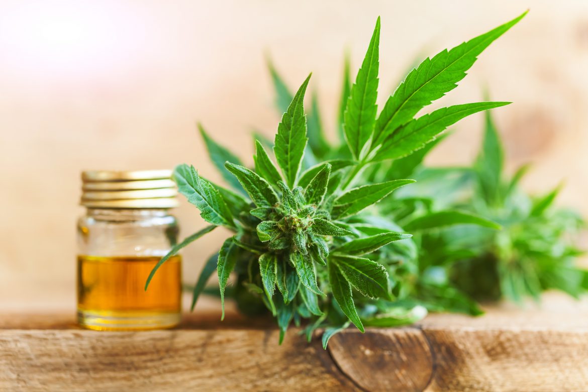 CBD oil hemp products