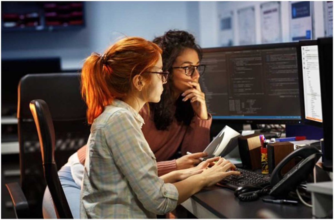 Freelance Software Developer