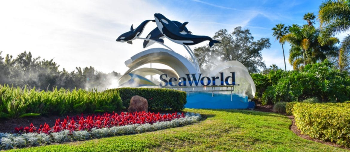 SeaWorld’s New Abu Dhabi Park